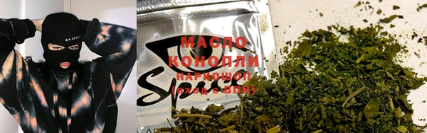 хмурый Гусев