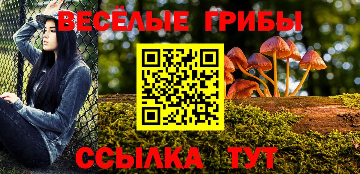Галлюциногенные грибы мухоморы  Вход с VPN  Мценск 